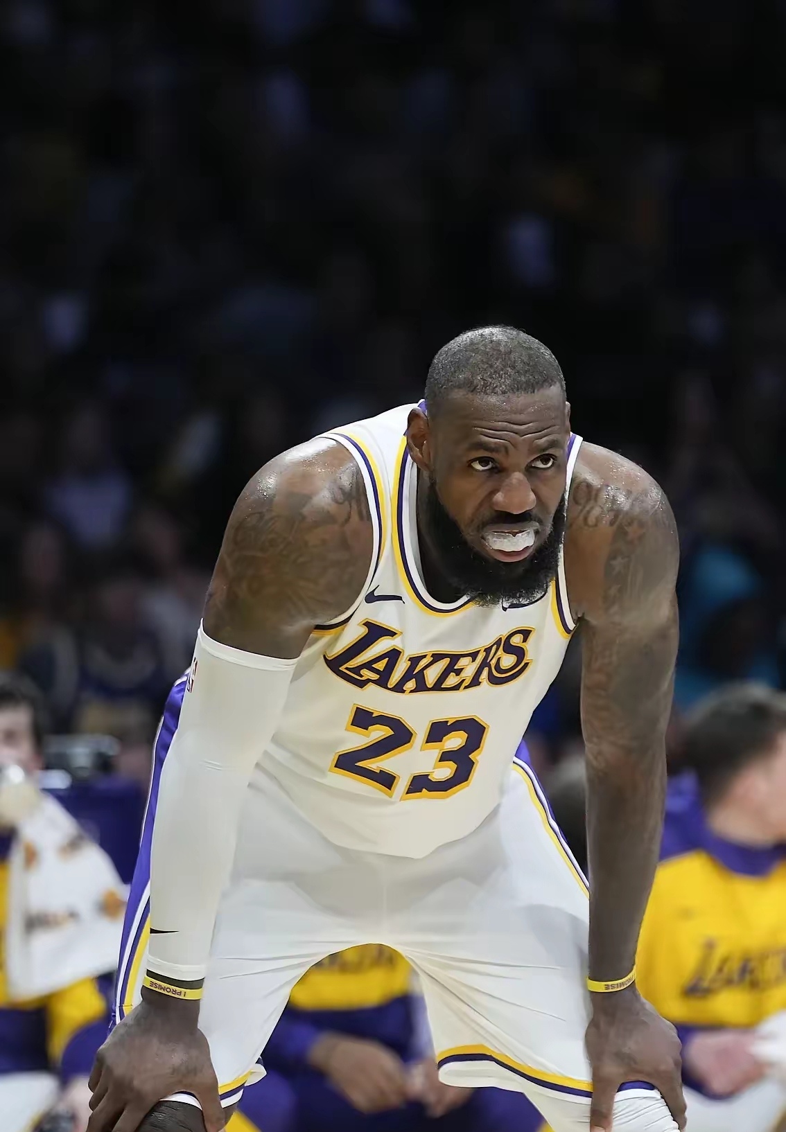 包含詹姆斯:退役?我还没打够的词条 包含詹姆斯:退役?我还没打够的词条