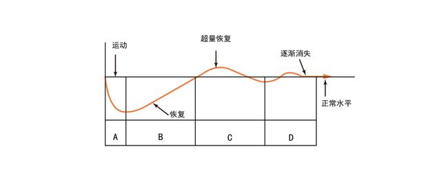 球员体能恢复与比赛表现相关性研究 球员体能恢复与比赛表现相关性研究