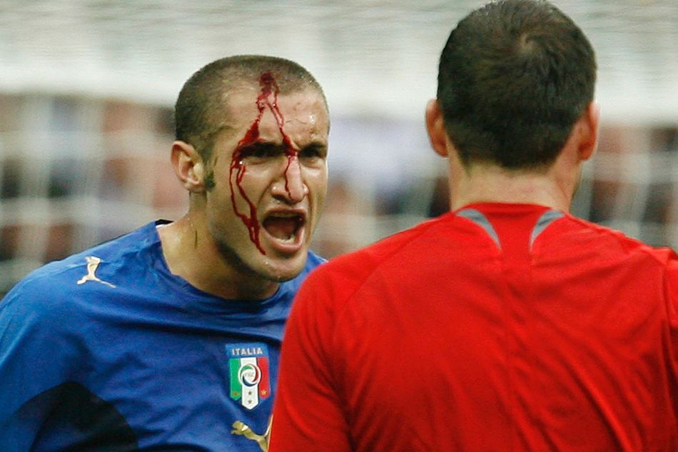 开云体育注册-关于足球场上的动物入侵名场面的信息