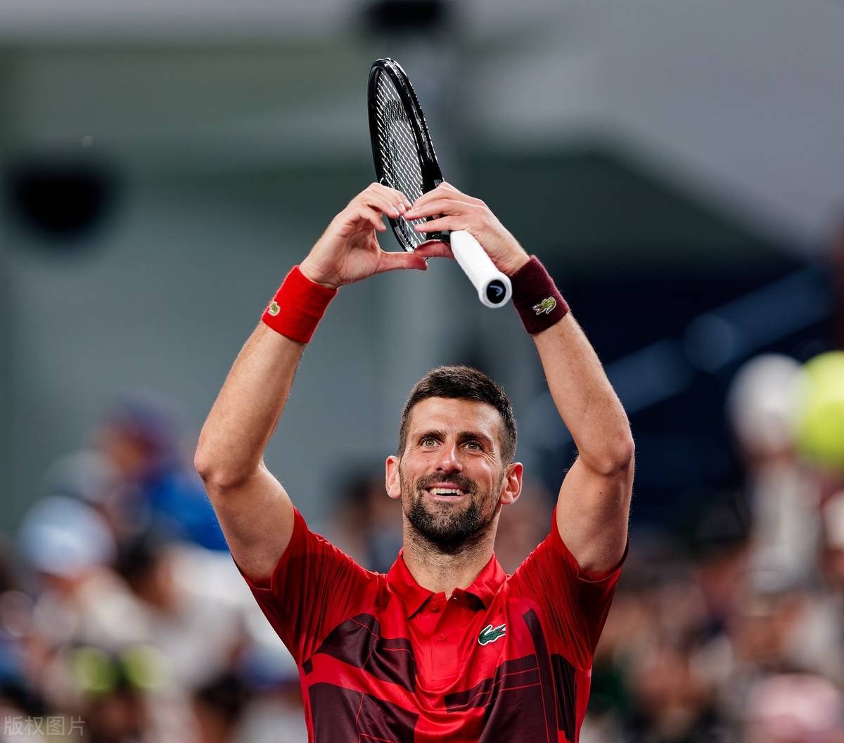 开云体育注册-德约科维奇再度登顶！看他如何书写传奇的简单介绍